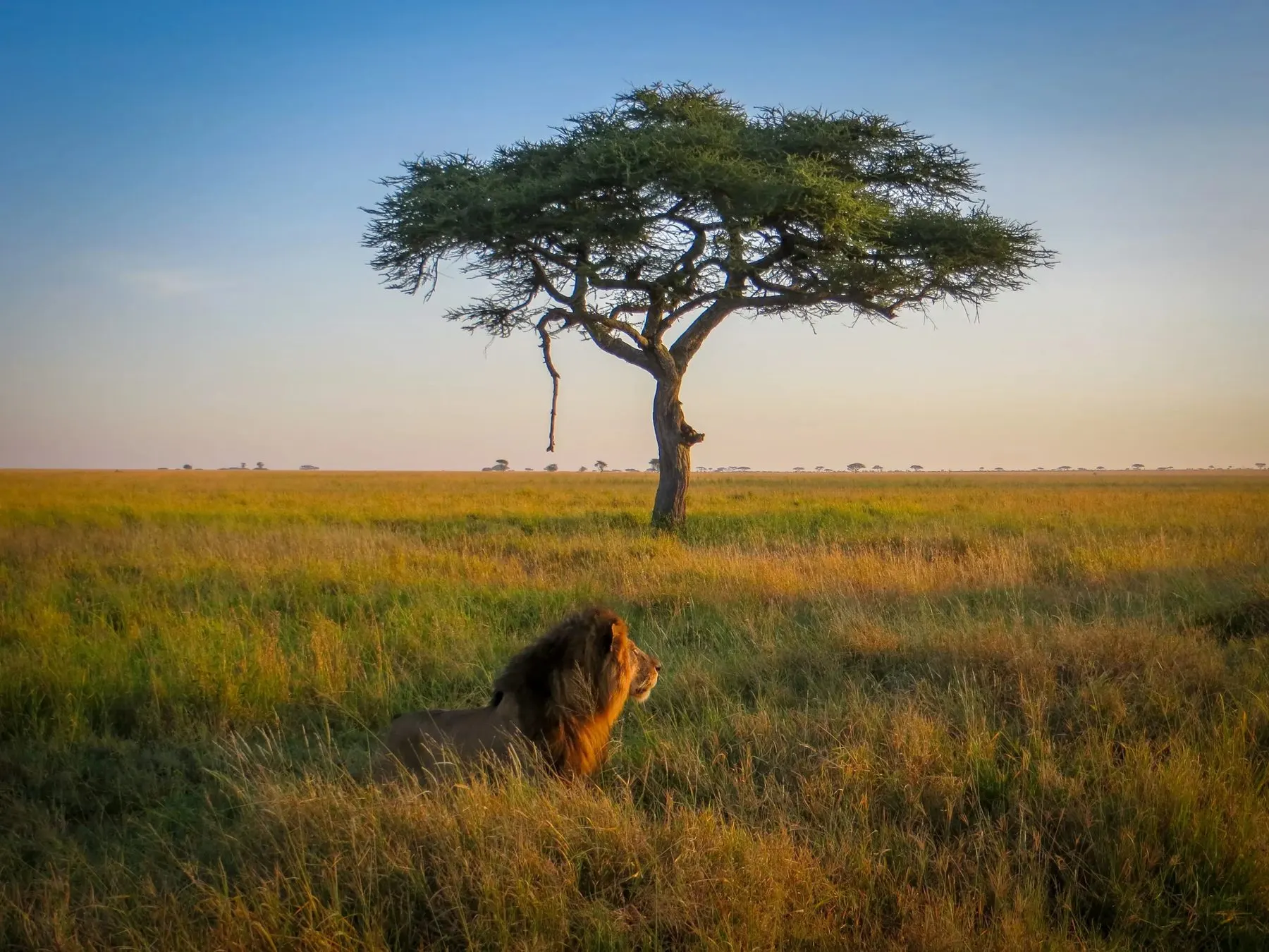 Tanzania
