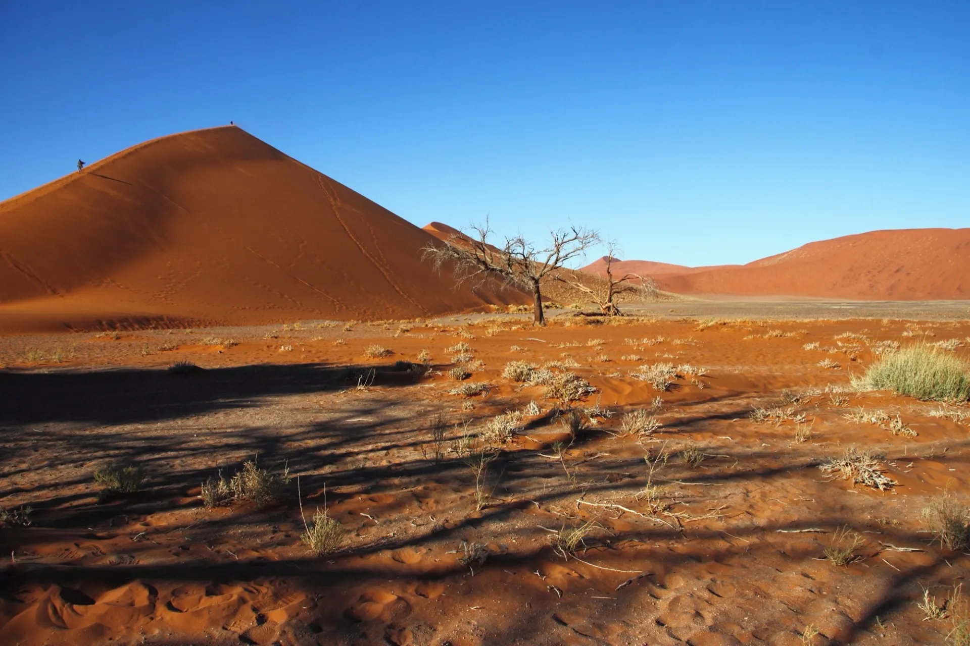 Red dunes at sunrise, Sossusvlei, Namibia