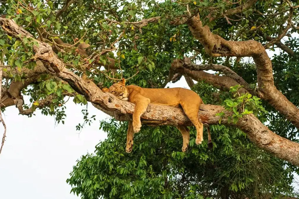 Kenya