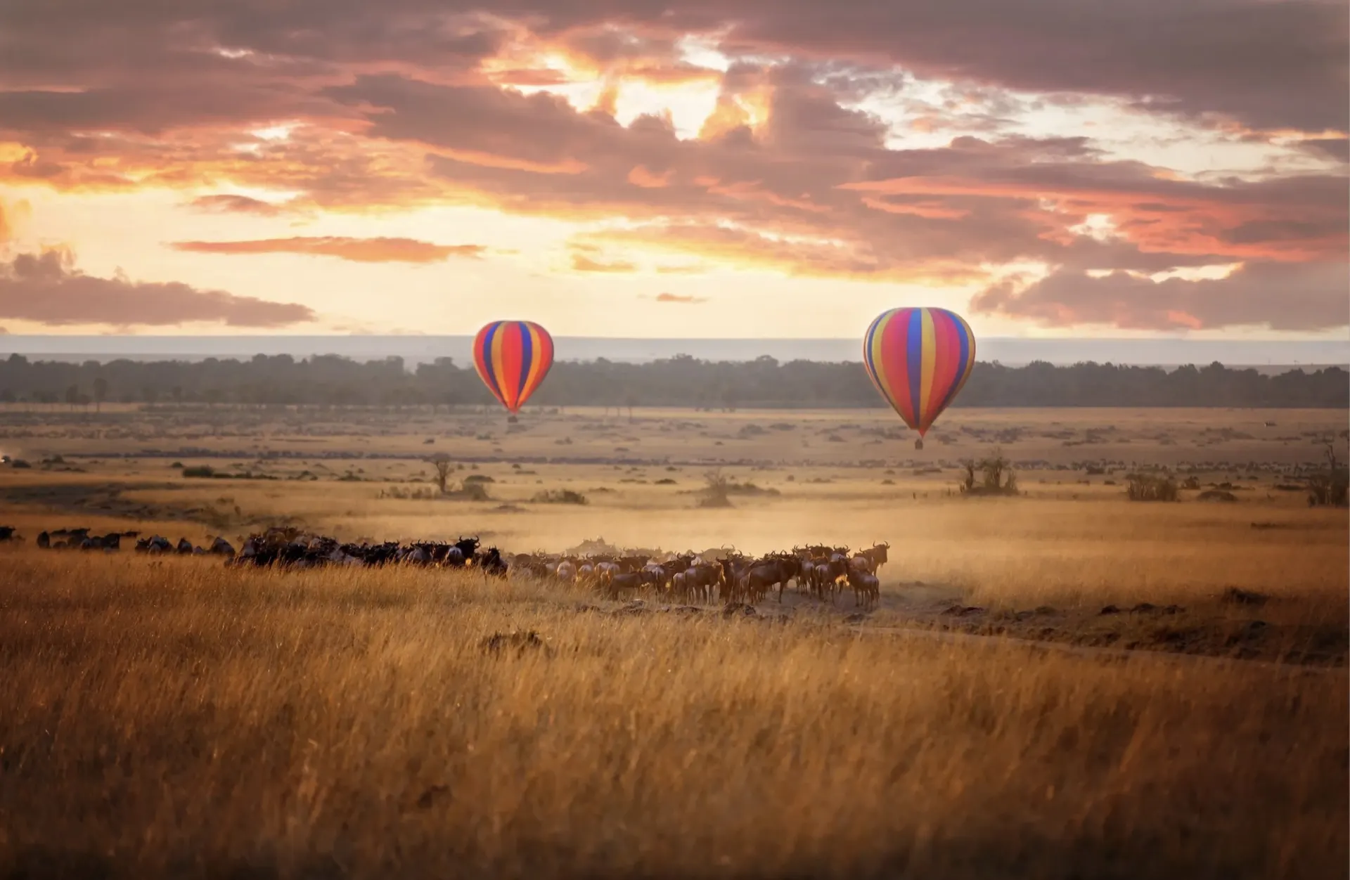 Hot Air Balloons
