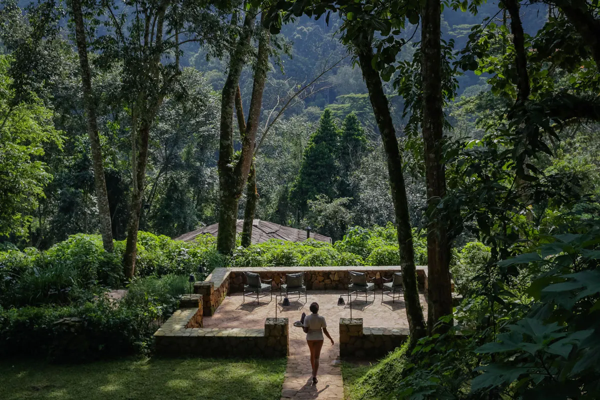 Lodge garden near Bwindi Impenetrable Forest, Uganda