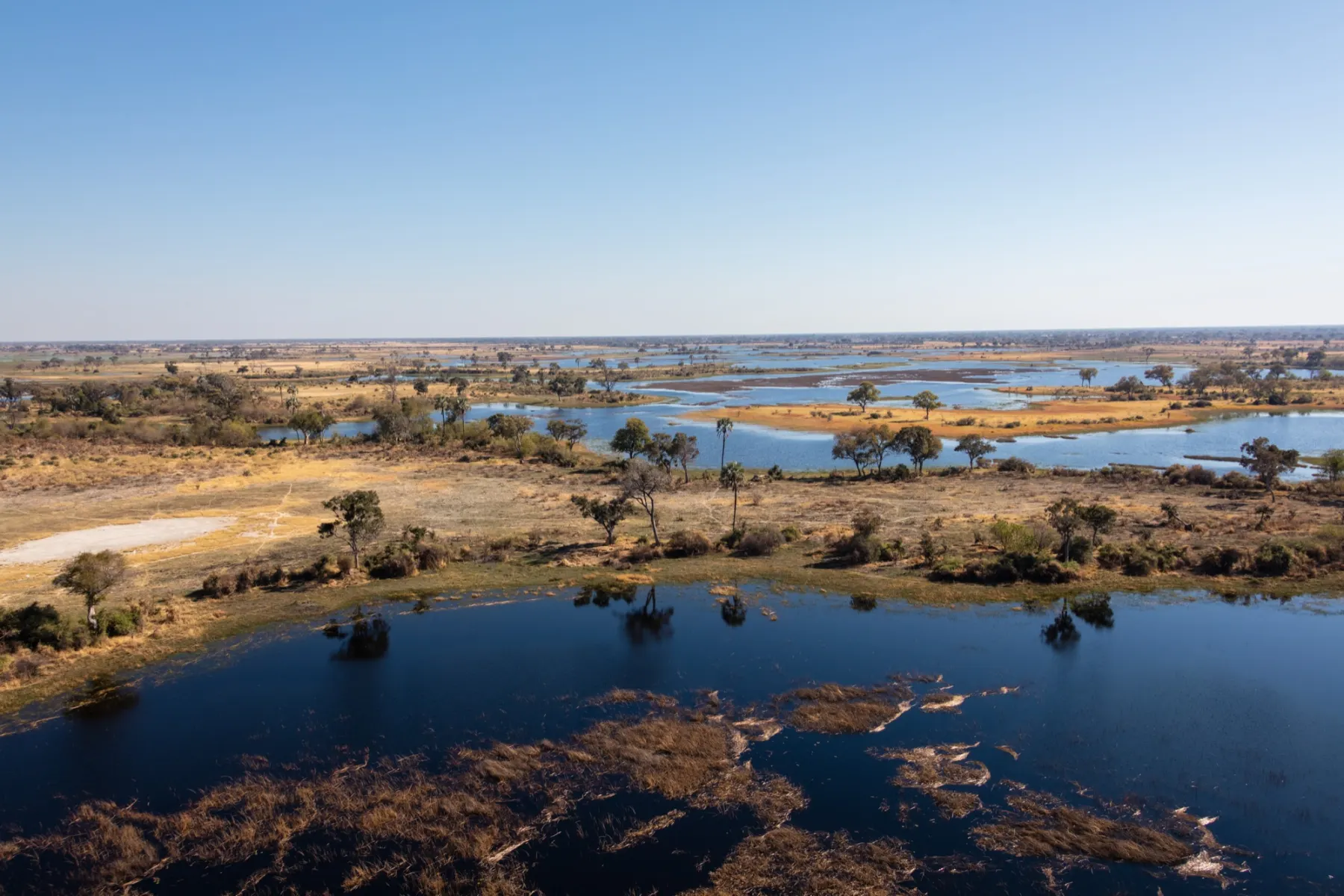 Okavango Delta in flood, Botswana